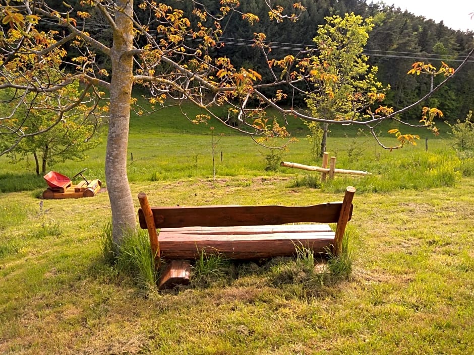 Le Vallon d'Armandine, gîte écologique Auvergne