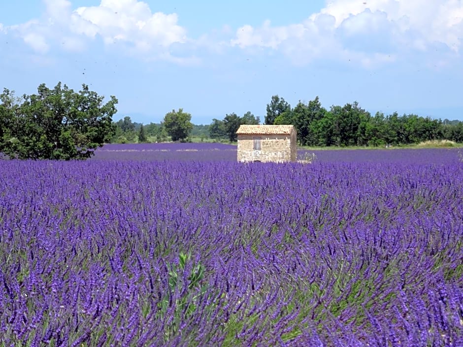 L Olivadou B&B