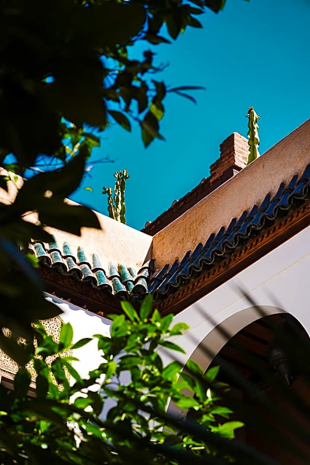 Riad Maison Palmier