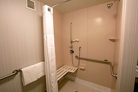 1 King Mobility Accessible W/Roll In Shower ROOM ONLY