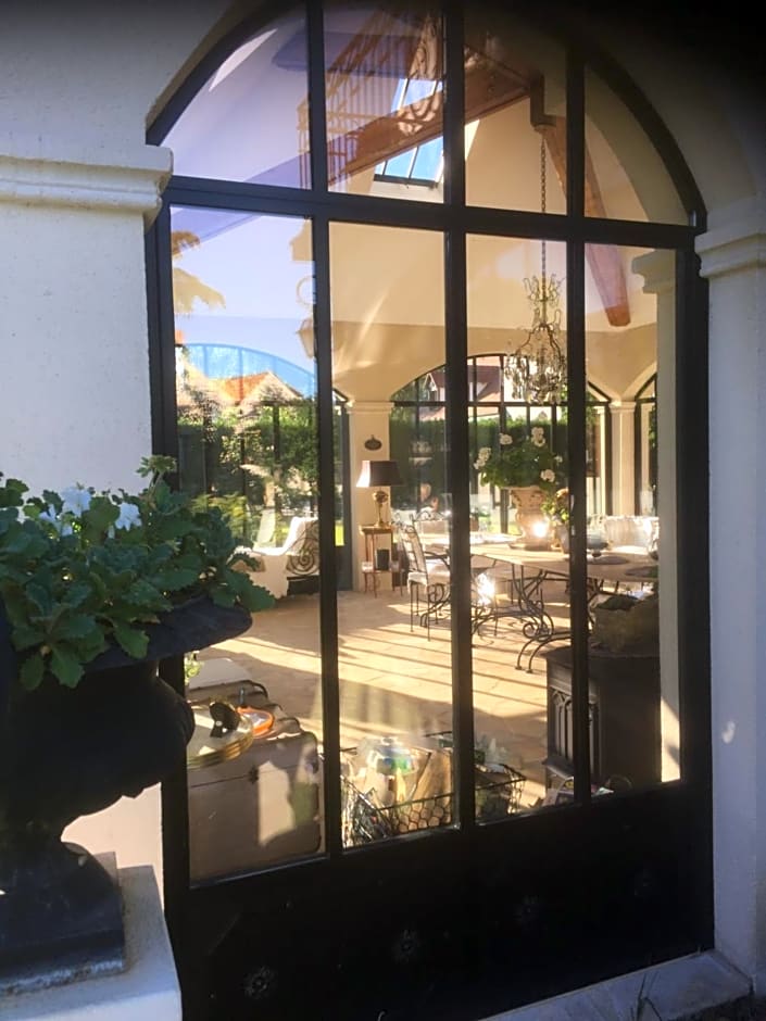 Les Prémices De La Forêt