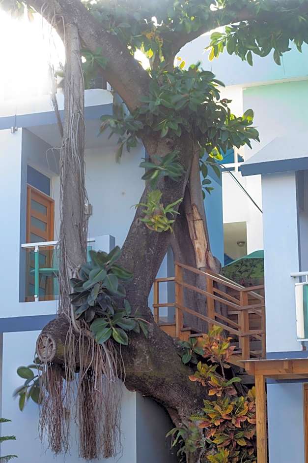 Hotel Casa Valeria