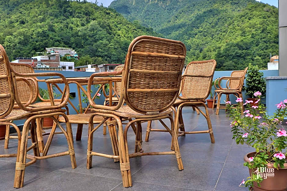 The Blue Jay Hostel - Dorms & Rooms Hotel