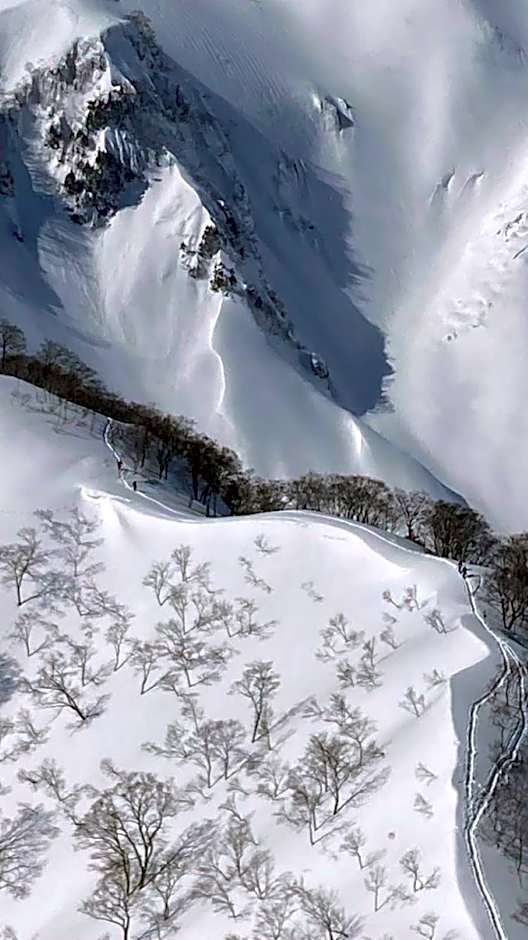 Mominoki Lodgeモミの木ロッジ