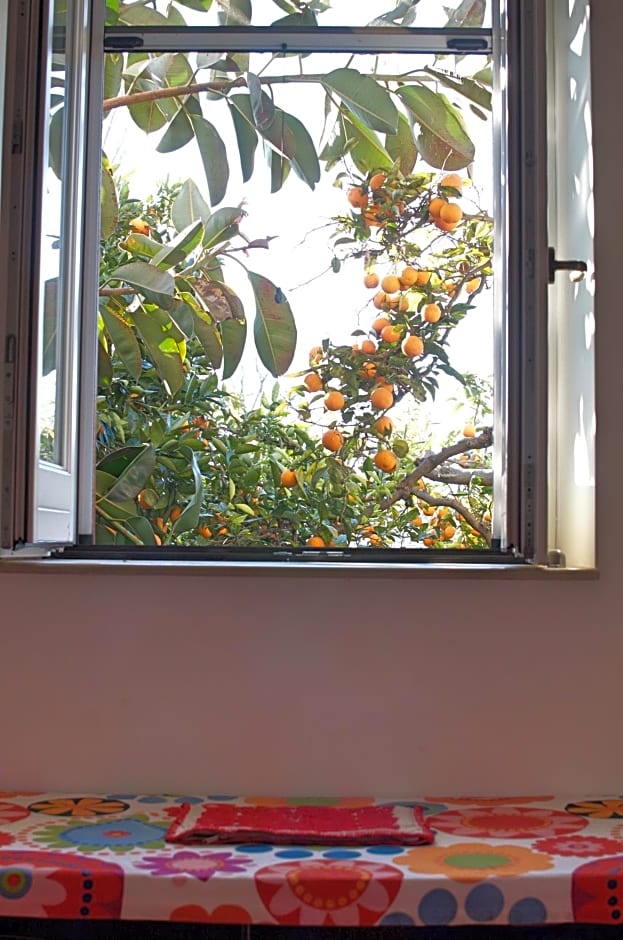 Il Giardino del Sole