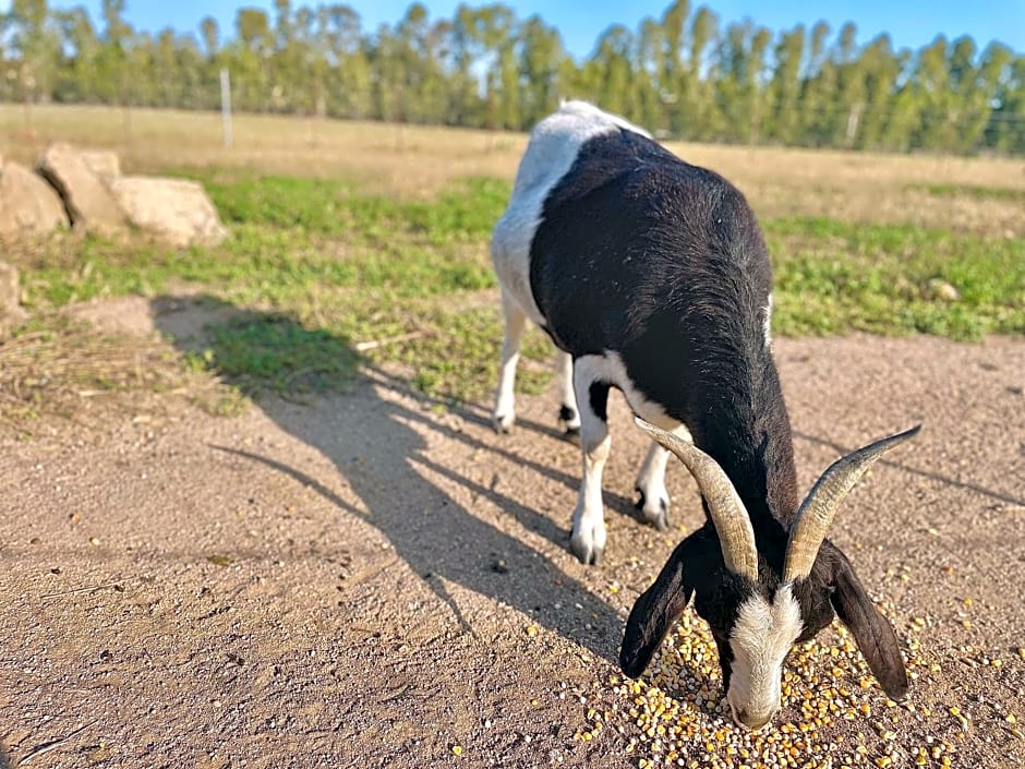 Affittacamere Soleluna