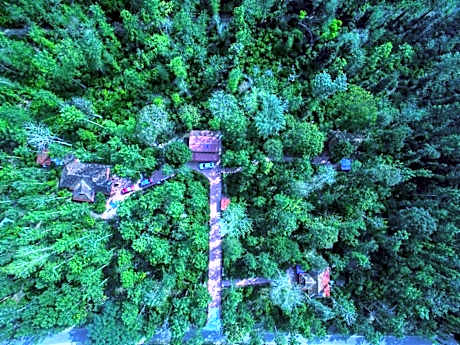 Humble Nest Resort coorg 