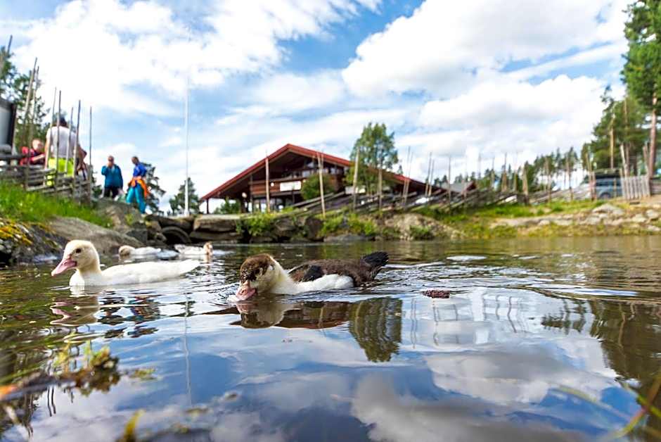 Hytter Dombås