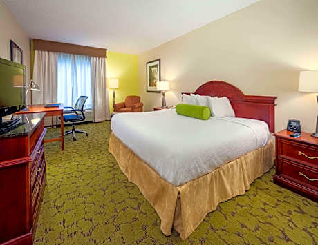 1 King Bed