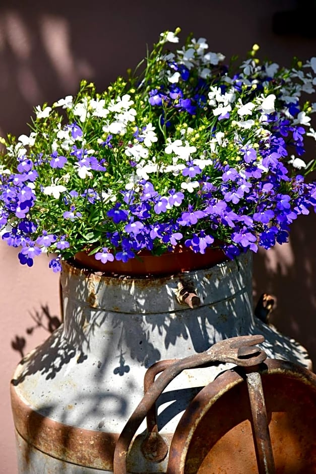 Pokoje go¿cinne Ewela