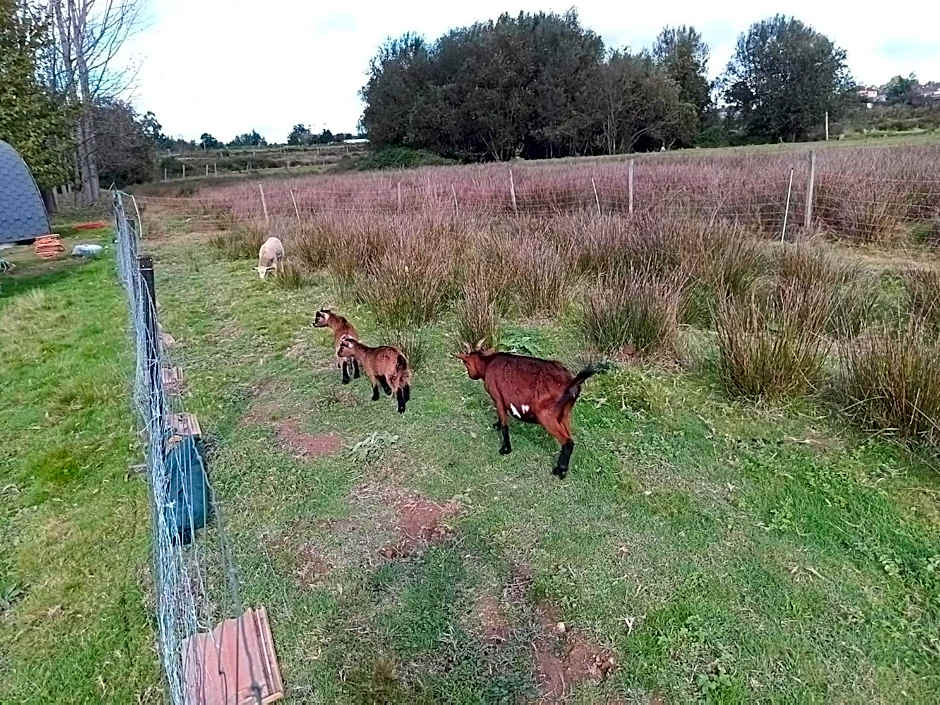 Casa da Avó Miquinhas