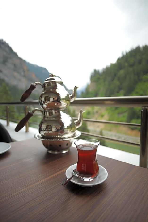 PAZARCIK MOUNTAIN HOTEL