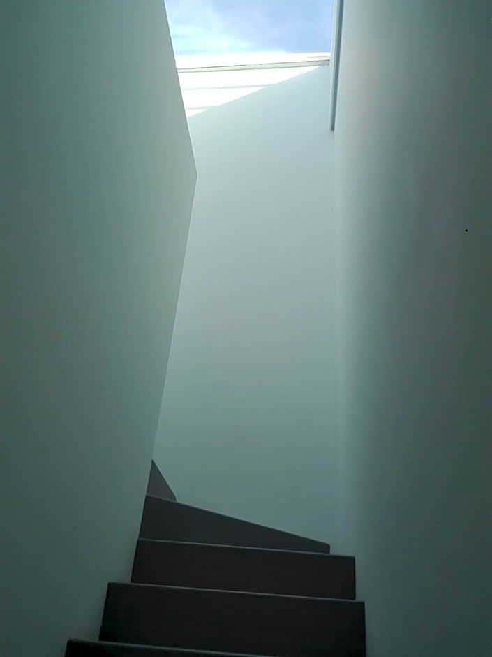 Patio 101 "Exclusive"