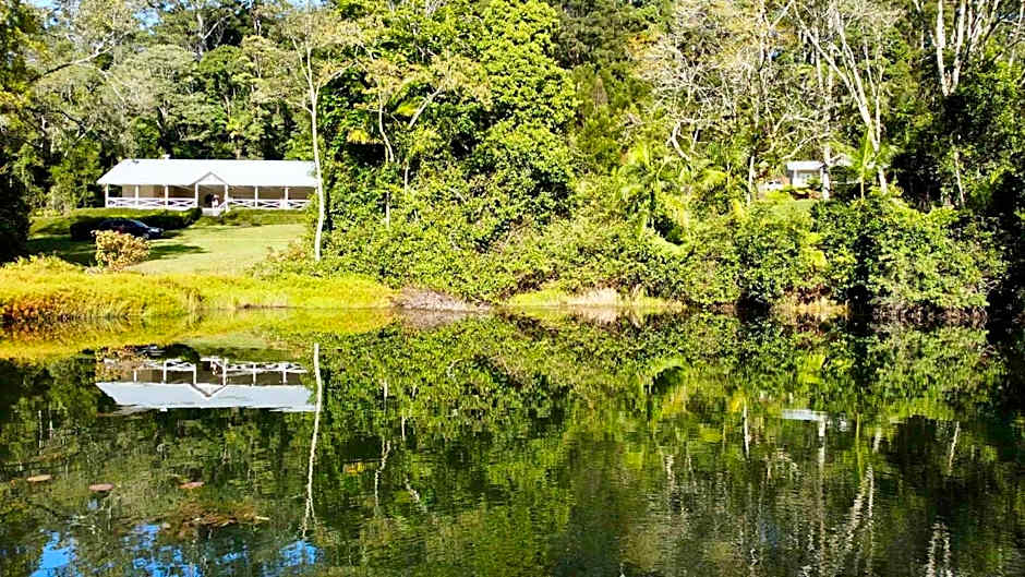 Nightcap Ridge - Byron Bay Hinterland