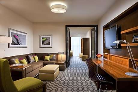One-Bedroom King Suite