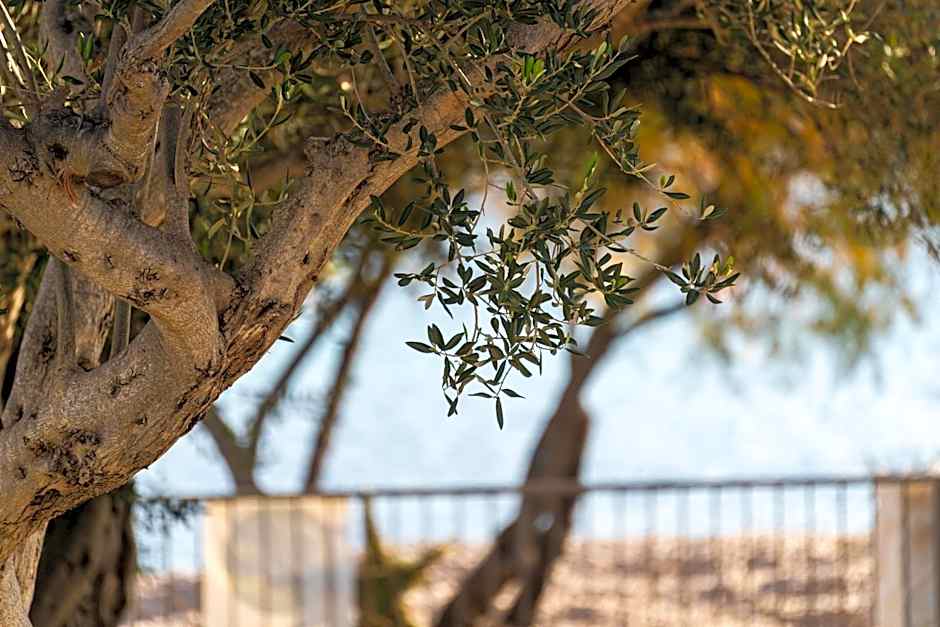 O`Life Boutique Apartments