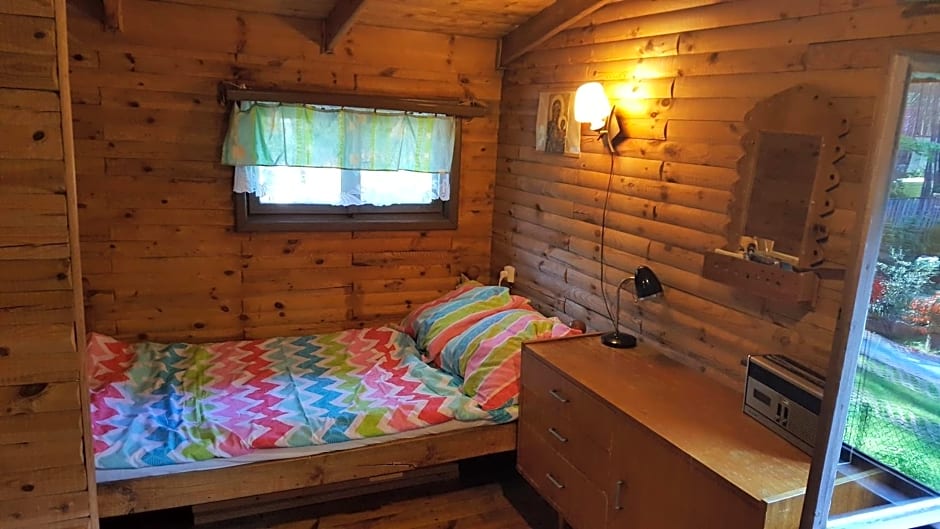 BORY TUCHOLSKIE SKÓRZENNO KO¿O OSIEKA