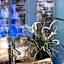 StarHome Navona