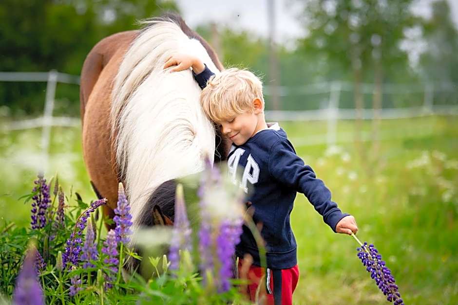 Koziula - Domki i Leśne SPA na Kaszubach