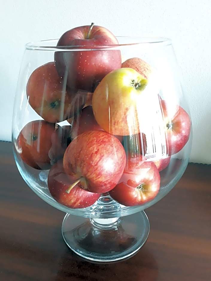 Hotel Dom Vasco Sines