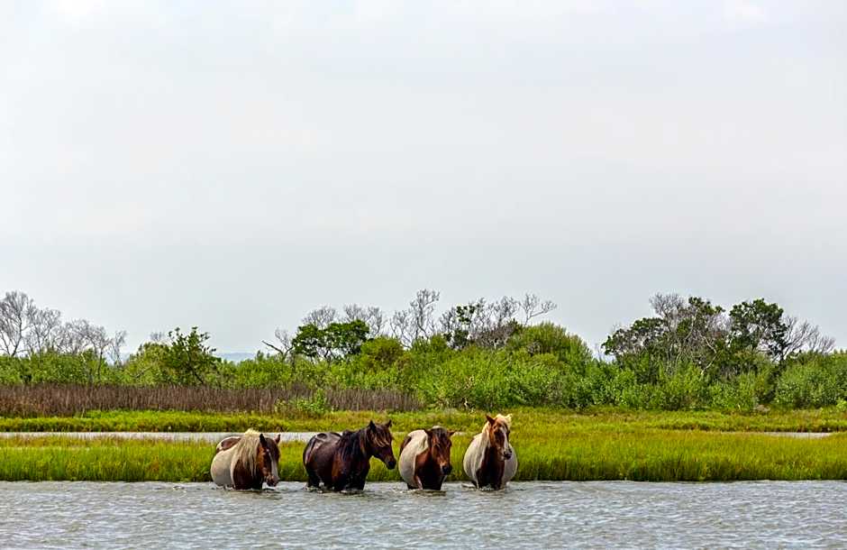 Chincoteague Inn