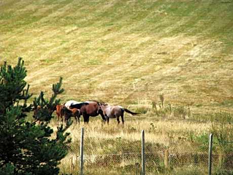 Double Room with Lake View