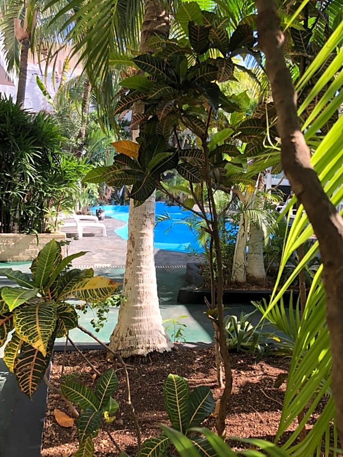Hotel Beach Energy 5th Av