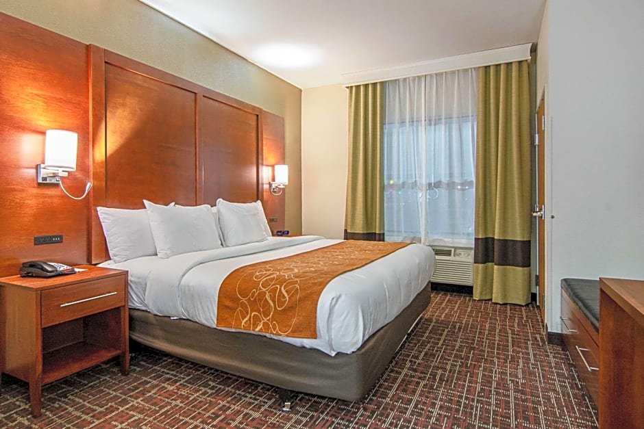 Comfort Suites NW Dallas Near Love Field