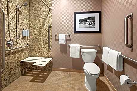 Suite, 1 Bedroom (1 King Bed and 1 Double Sofa Bed)
