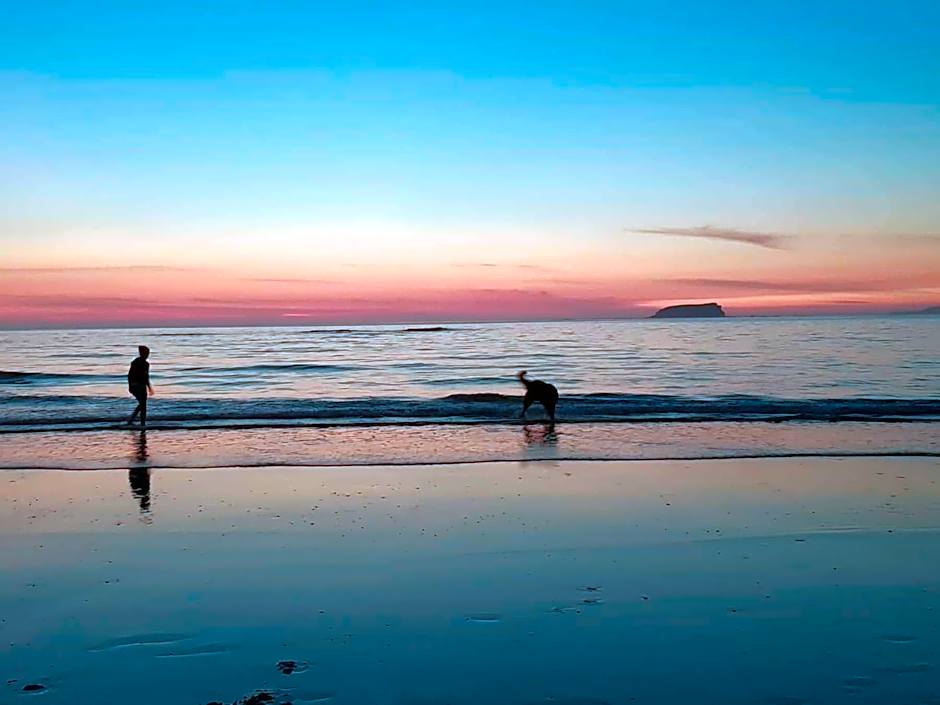 The butterbean accomodation