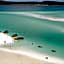 Tasman Holiday Parks - Airlie Beach