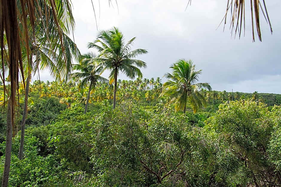 Vila Flor Eco Centro