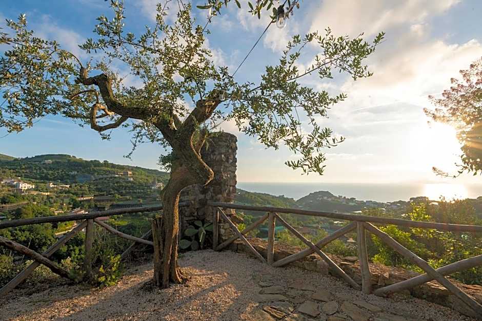 Villa il Turro