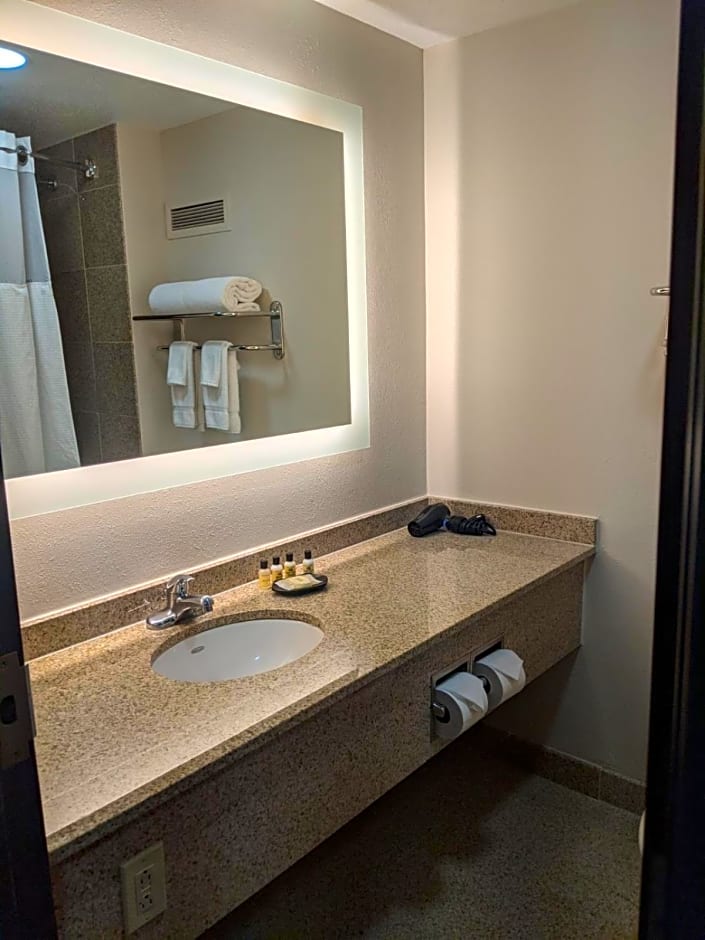 Wyndham Indianapolis Airport