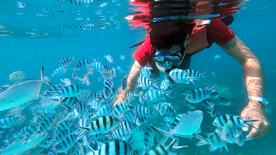 Baanchanlay Kohchang