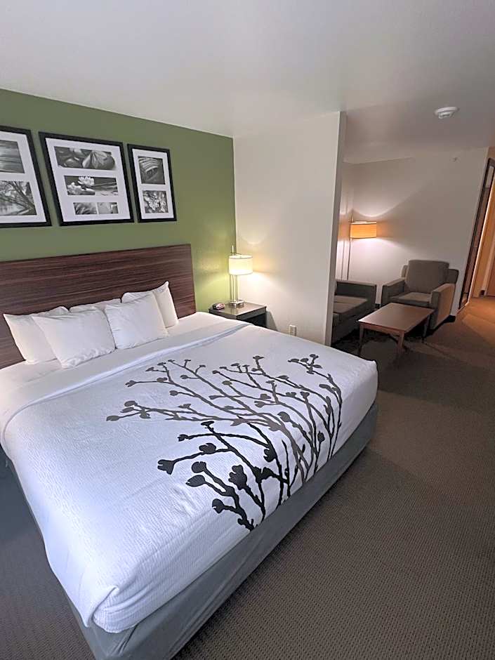 Sleep Inn & Suites Conference Center Eau Claire North