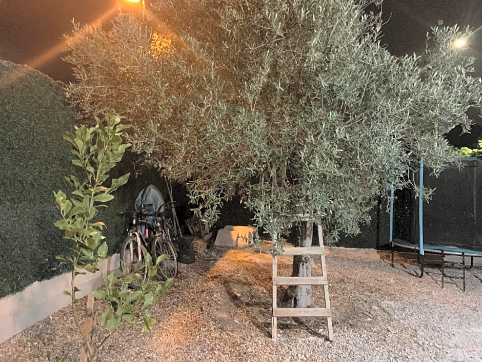 L’olivier De Manel