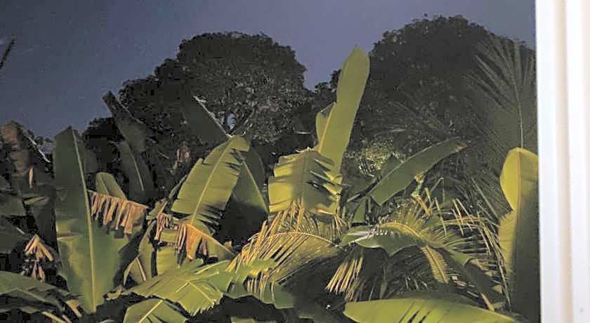 Hedheykuri Residence Fuvahmulah