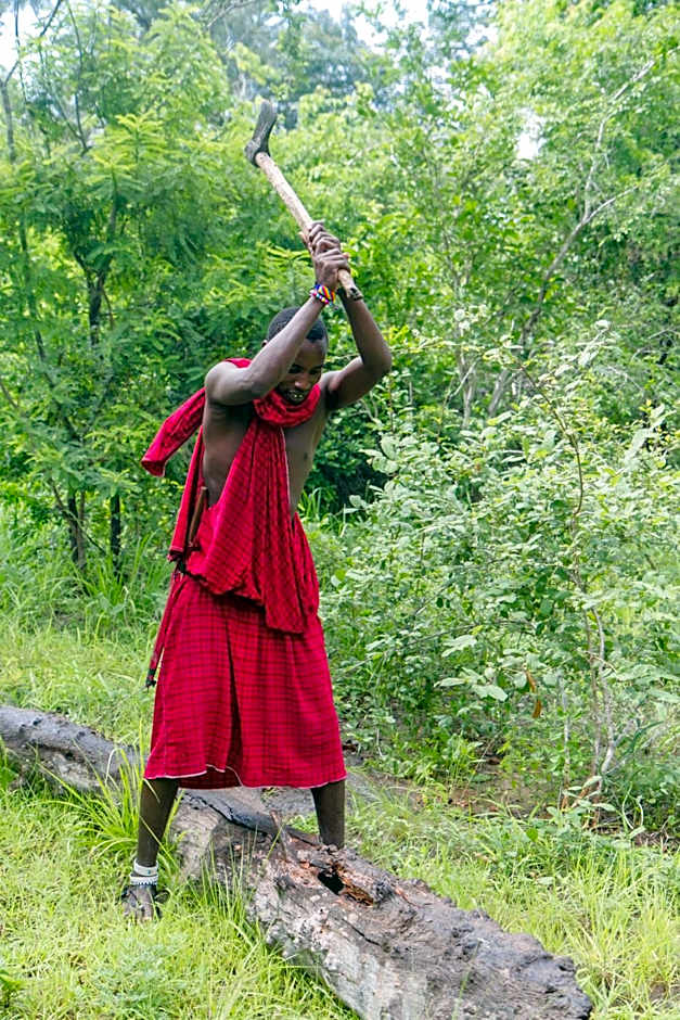 Africa Safari Selous Nyerere national park