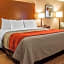 Comfort Inn & Suites Franklin East