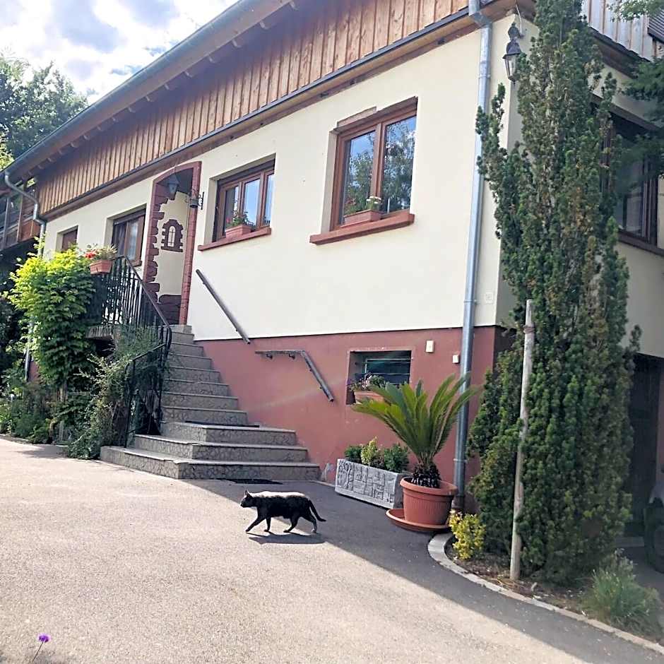 Photo 1 of 26 of Gite du Ried