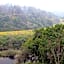 Blackwaters River Lodge, Knysna