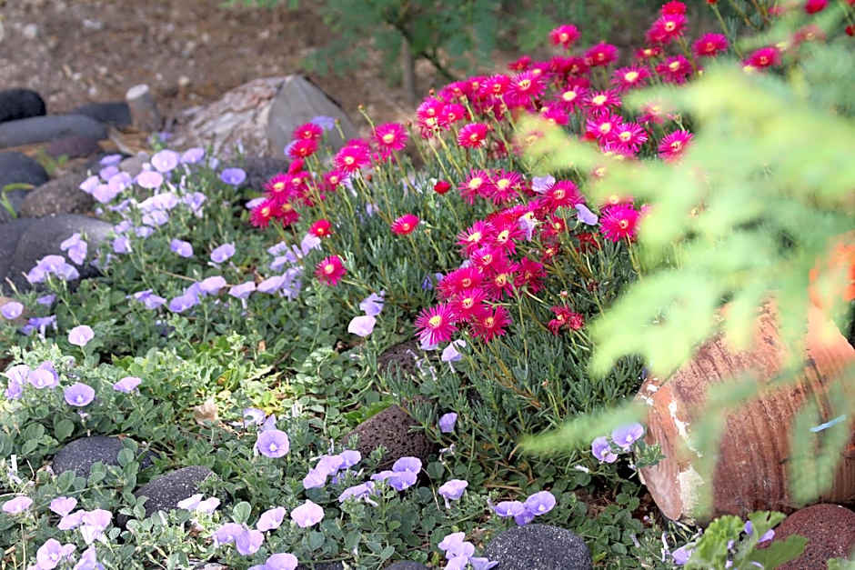 SPIROS & HIROKO Hotel - ADULTS ONLY