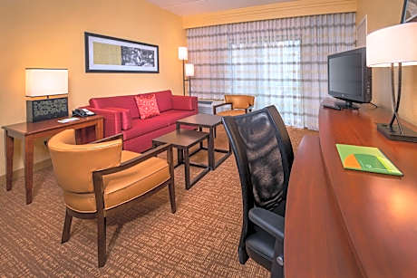 Suite, 1 Bedroom (1 King Bed and 1 Double Sofa Bed)