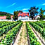 Hotel Annaberg