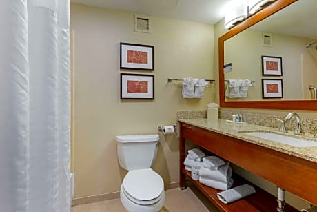 1 King Bed, Suite, Nonsmoking