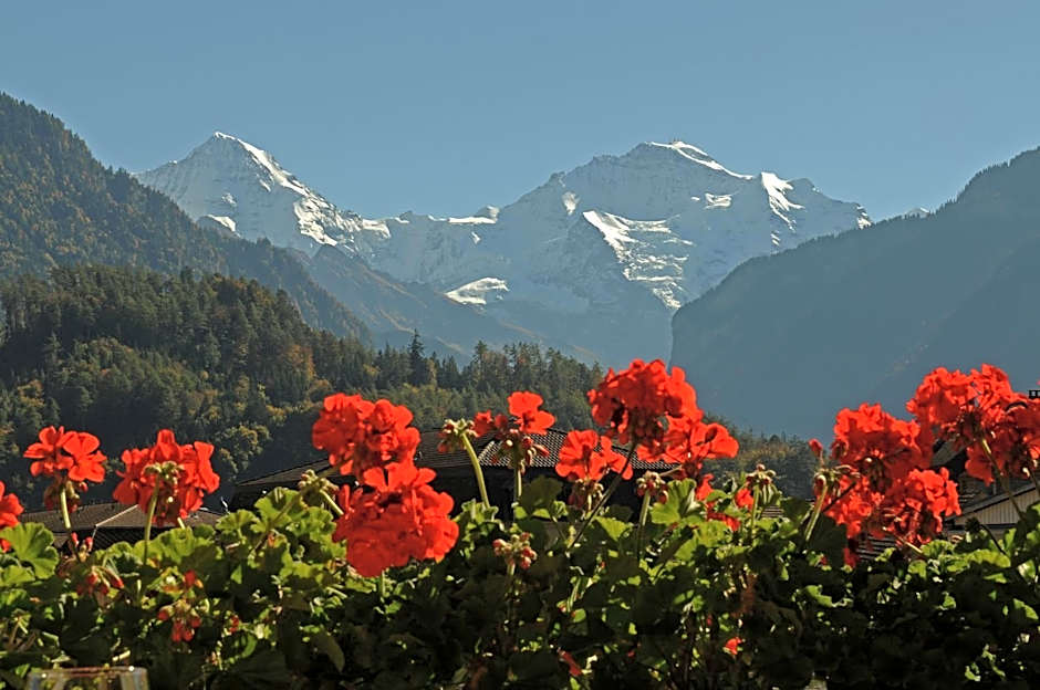 Zdjęcie 1 z 5 — Single Room