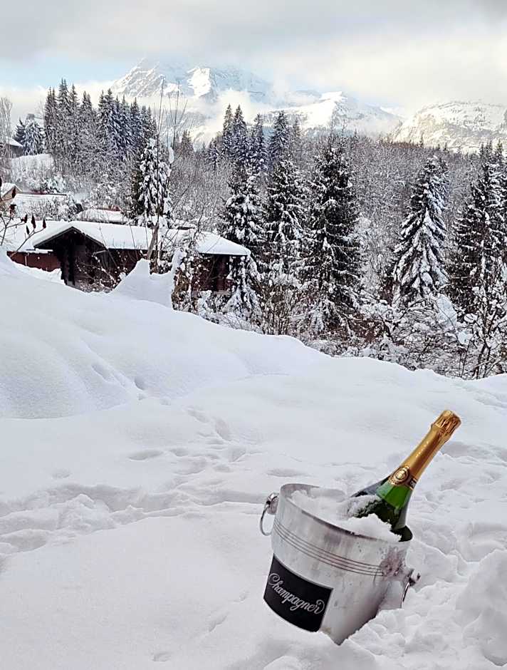 Chalet Arpitan - rentals