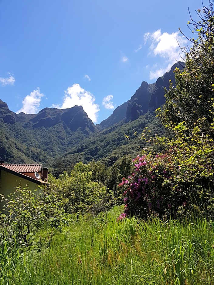 Casinhas da Laurissilva