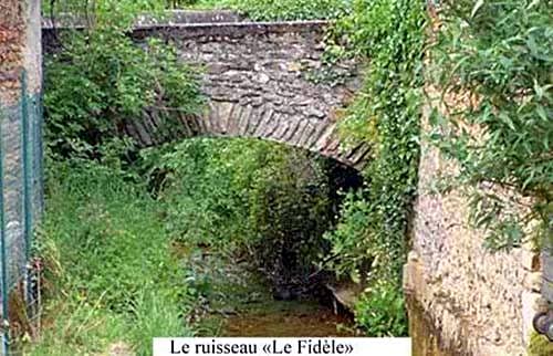 Le Fidèle